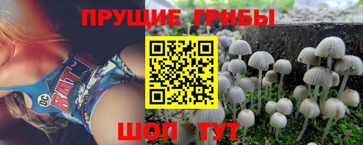 Псилоцибиновые грибы Cubensis  Псилоцибиновые грибы мицелий  Вход с VPN  Лысьва 